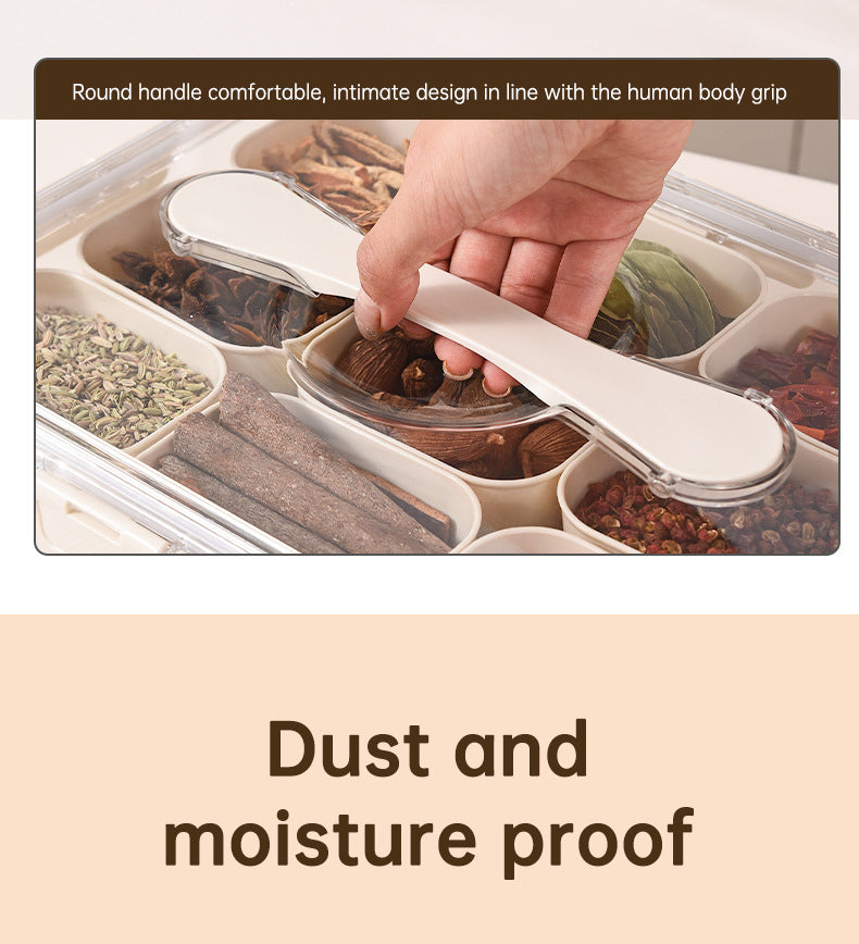 Design Sealed Snackle Storage Box With 9pcs Divider Plastic Divided Veggie Tray With Lid And Handle eprolo