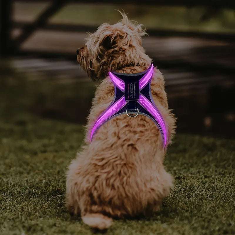 Pet supplies: explosion - proof, flushable, 8 - gear, color - changing LED, chest braces, clothes and collars with traction. - Smart Savvy
