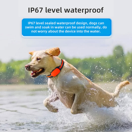 4G Pet Locator Gps Beidou Cat Dog Sheep Positioning Anti Loss Waterproof Collar Grazing Positioning Tracker eprolo