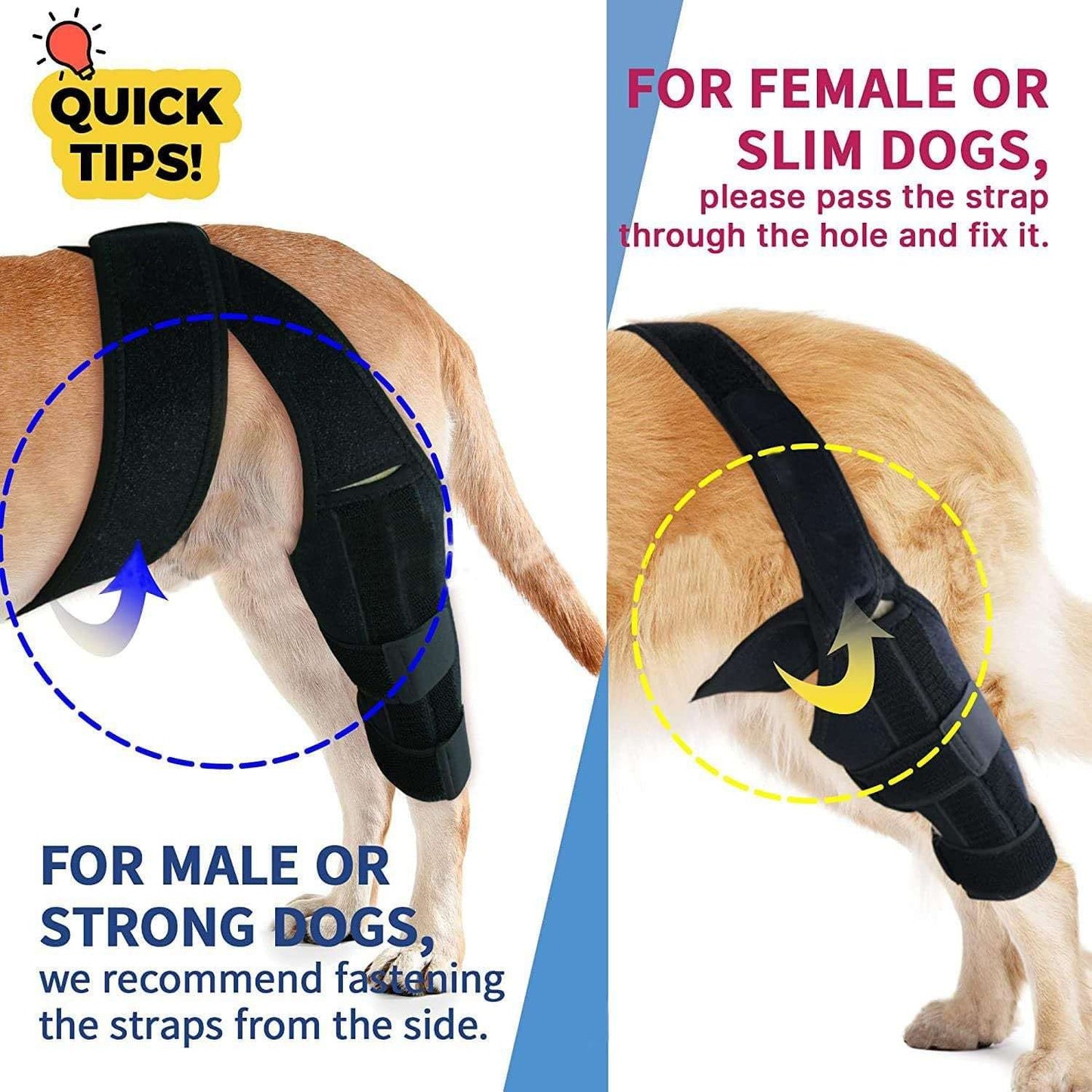 Pet protective gear dog leg injury assistance dog leg cover dog knee rehabilitation leg joint protection cover - Smart Savvy