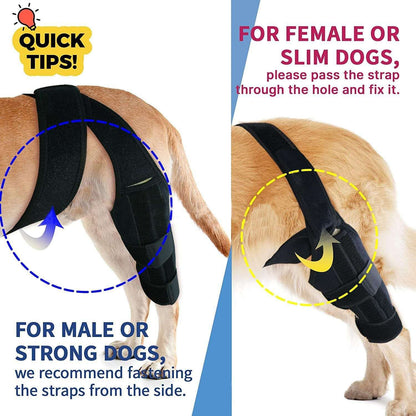 Pet protective gear dog leg injury assistance dog leg cover dog knee rehabilitation leg joint protection cover - Smart Savvy