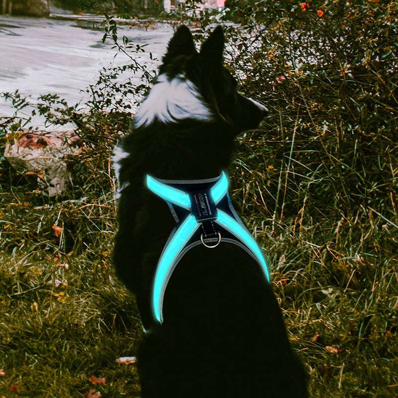 Pet supplies: explosion - proof, flushable, 8 - gear, color - changing LED, chest braces, clothes and collars with traction. - Smart Savvy