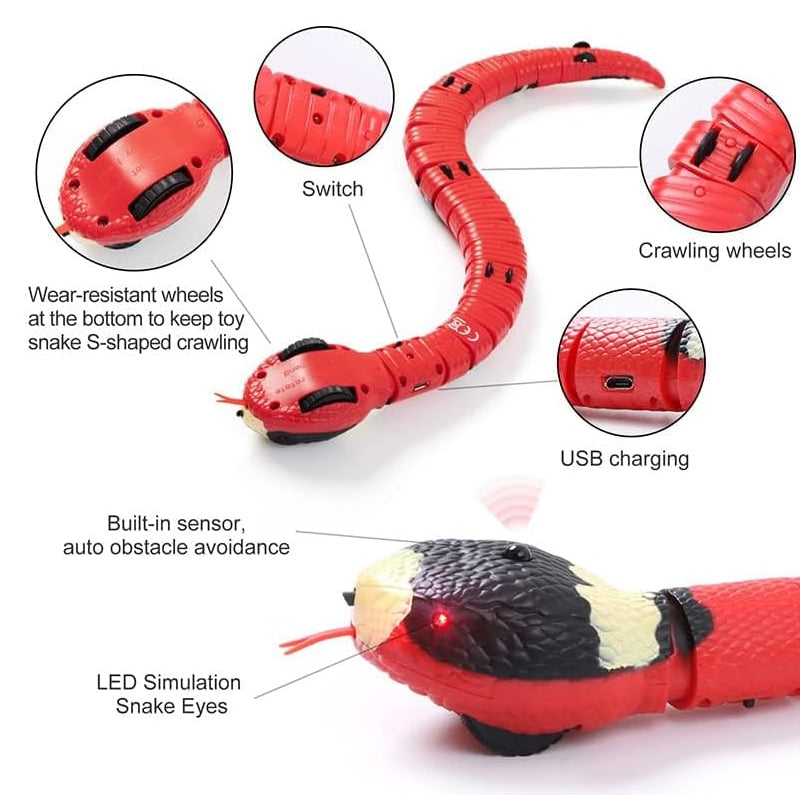 USB Rechargeable Interactive Cat Toy with Smart Sensing, an Automatic Electronic Snake for Kittens' Indoor Play. - Smart Savvy
