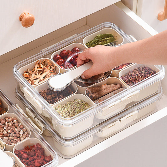 Design Sealed Snackle Storage Box With 9pcs Divider Plastic Divided Veggie Tray With Lid And Handle eprolo