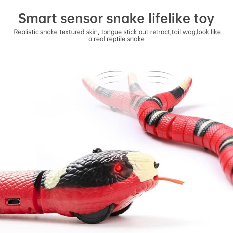 USB Rechargeable Interactive Cat Toy with Smart Sensing, an Automatic Electronic Snake for Kittens' Indoor Play. - Smart Savvy