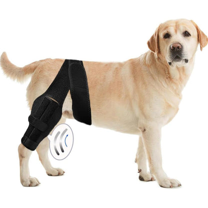Pet protective gear dog leg injury assistance dog leg cover dog knee rehabilitation leg joint protection cover - Smart Savvy