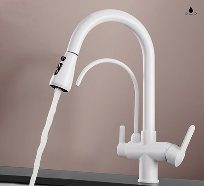 Antique brass three in one pure water direct drinking faucet, kitchen sink, pull-out faucet, hot and cold eprolo
