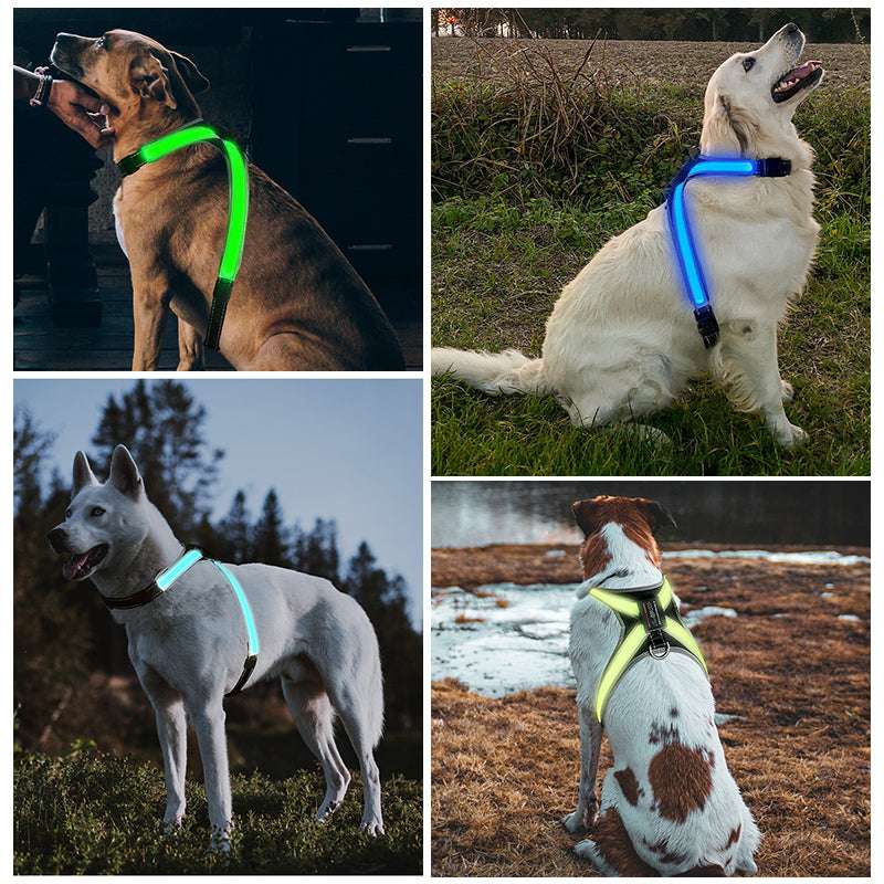 Pet supplies: explosion - proof, flushable, 8 - gear, color - changing LED, chest braces, clothes and collars with traction. - Smart Savvy
