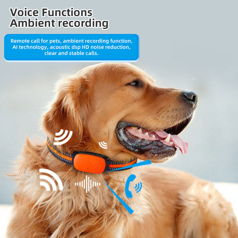 4G Pet Locator Gps Beidou Cat Dog Sheep Positioning Anti Loss Waterproof Collar Grazing Positioning Tracker eprolo