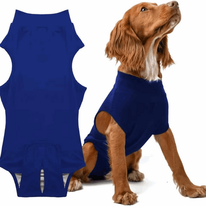 Pet sterilization suit wound anti licking suit suitable for all body types of dogs surgical recovery clothing set ﻿ - Smart Savvy