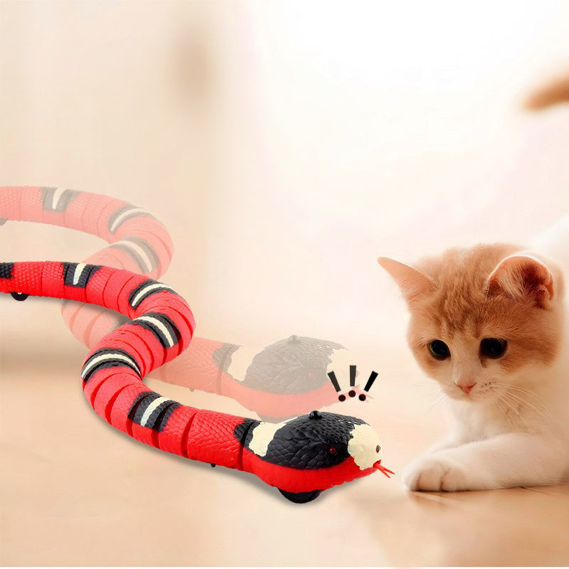 USB Rechargeable Interactive Cat Toy with Smart Sensing, an Automatic Electronic Snake for Kittens' Indoor Play. - Smart Savvy