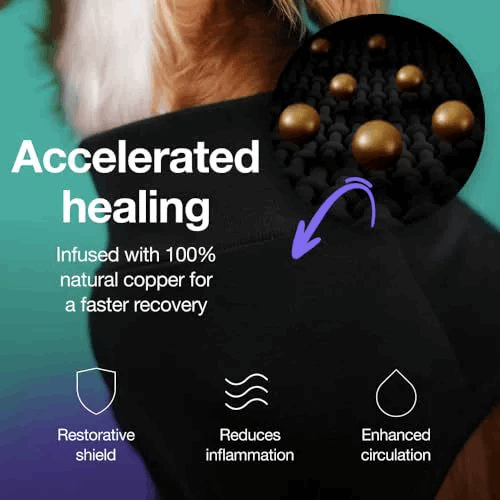 Pet sterilization suit wound anti licking suit suitable for all body types of dogs surgical recovery clothing set ﻿ - Smart Savvy