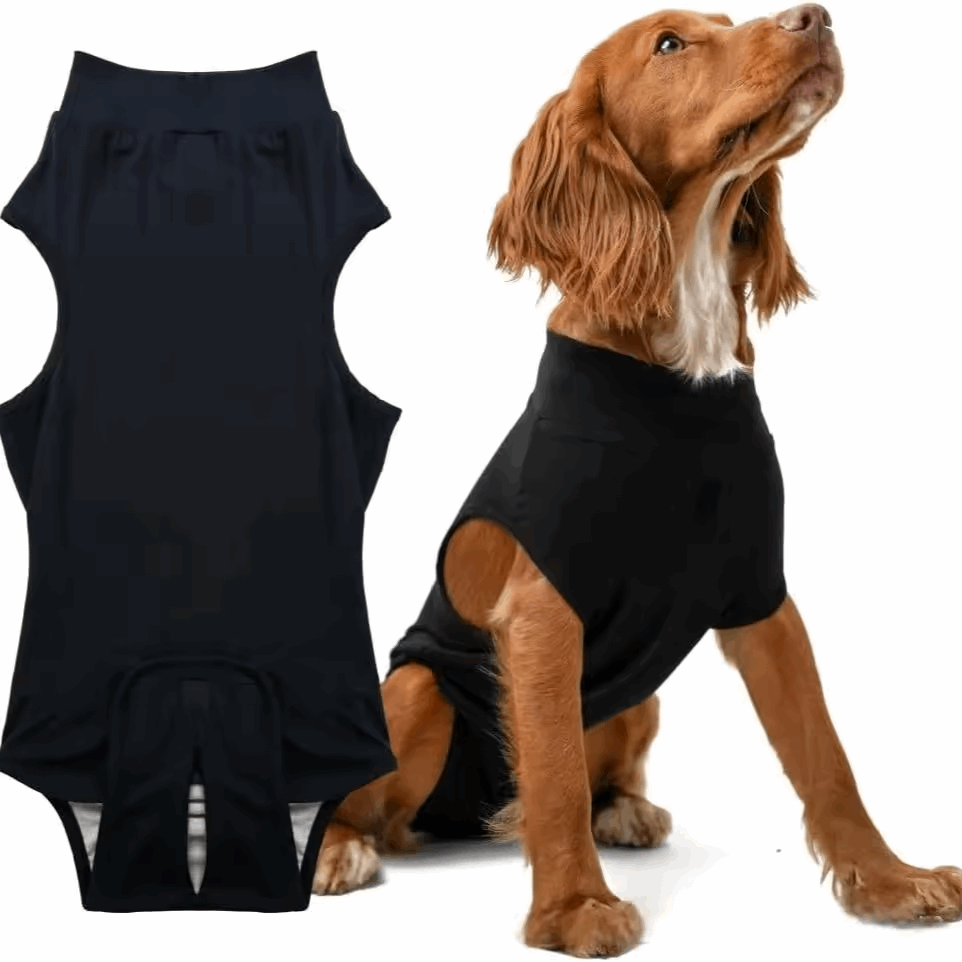 Pet sterilization suit wound anti licking suit suitable for all body types of dogs surgical recovery clothing set ﻿ - Smart Savvy
