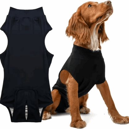 Pet sterilization suit wound anti licking suit suitable for all body types of dogs surgical recovery clothing set ﻿ - Smart Savvy