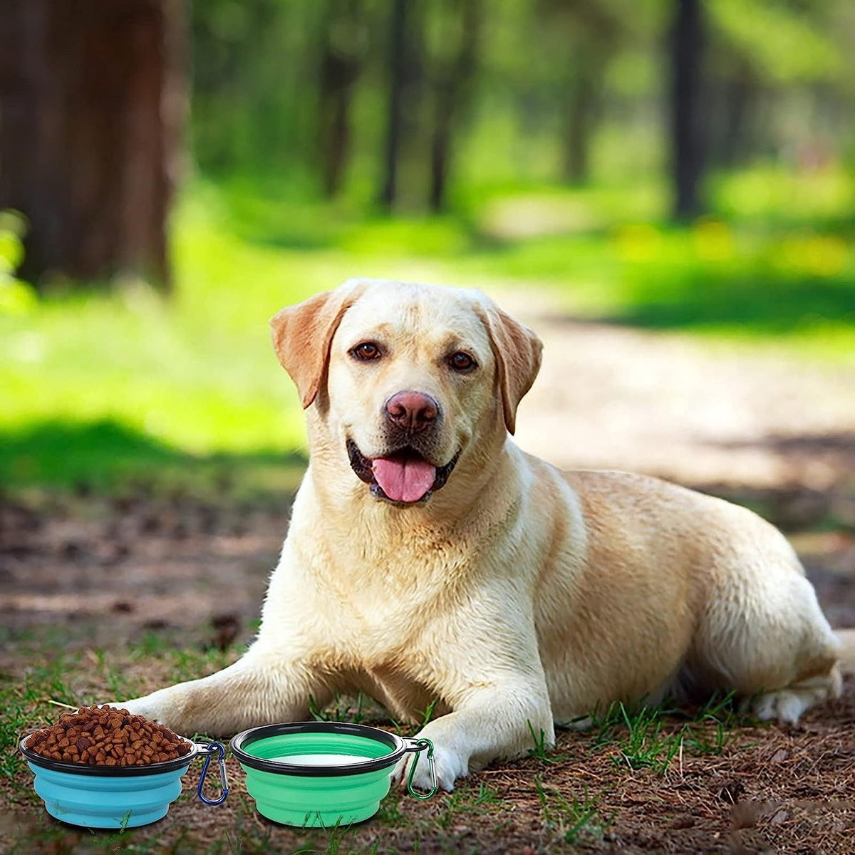 Portable pet dog folding bowl slow food bowl silicone pet bowl dog basin cat bowl drinking water supplies eprolo