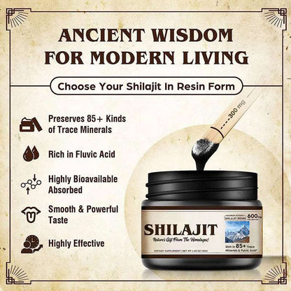 Shilajit Resin Ointment - Smart Savvy