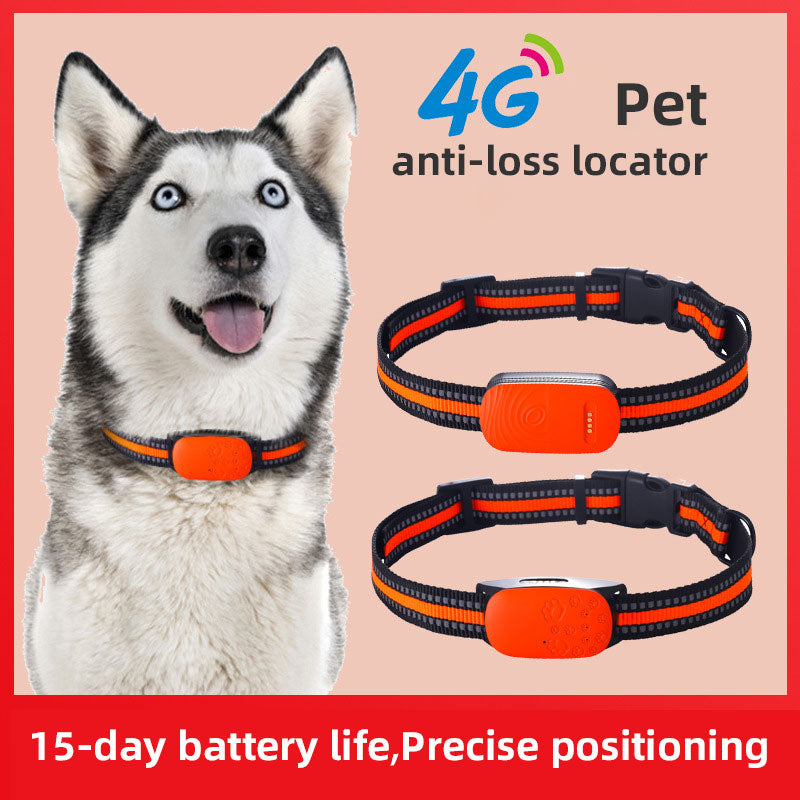 4G Pet Locator Gps Beidou Cat Dog Sheep Positioning Anti Loss Waterproof Collar Grazing Positioning Tracker eprolo