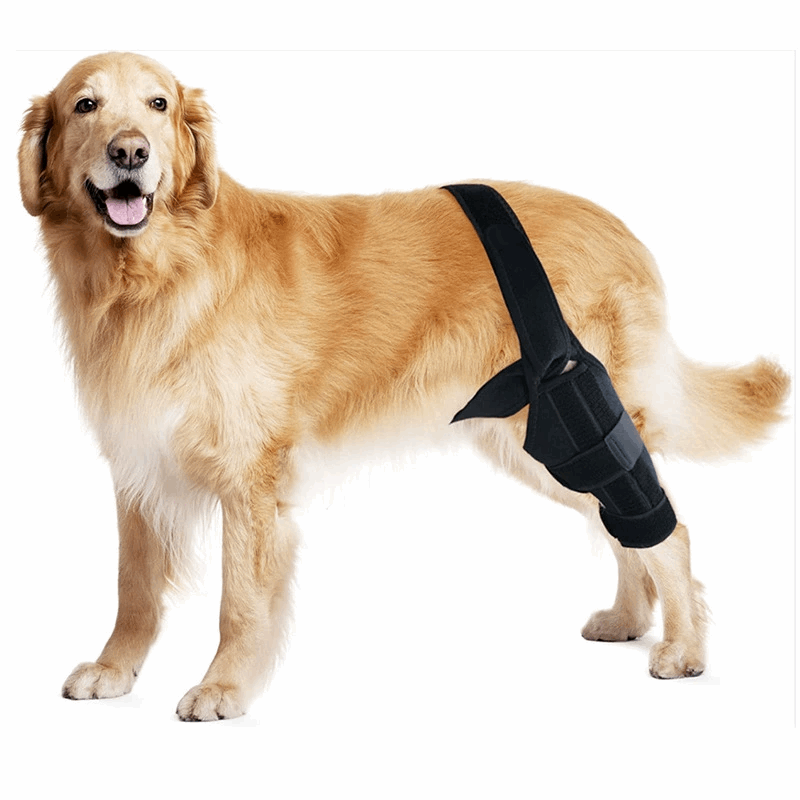 Pet protective gear dog leg injury assistance dog leg cover dog knee rehabilitation leg joint protection cover - Smart Savvy