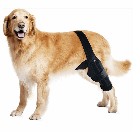Pet protective gear dog leg injury assistance dog leg cover dog knee rehabilitation leg joint protection cover - Smart Savvy