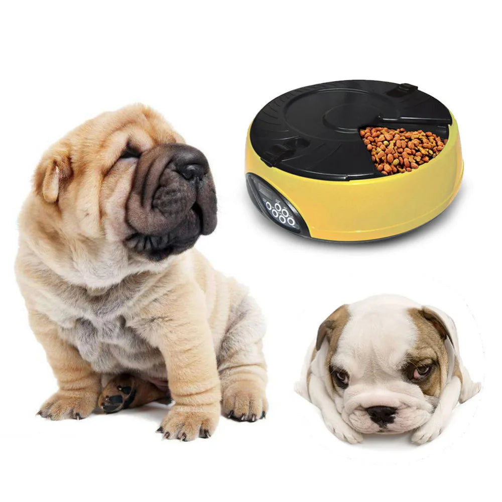 6 Meal Pet automatic feeding machine eprolo