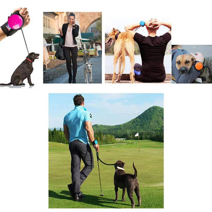 Adjustable Handsfree Wrist Retractable Dog Leash Pet Traction Rope 3M Terrier Leash Belt Wrist Strap Running Jogging Dog Product eprolo